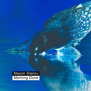 中国男人插继女阴部视频
