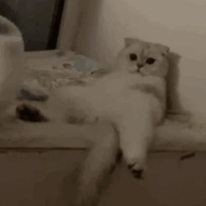 中国男人插继女阴部视频
