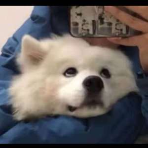 中国男人插继女阴部视频
