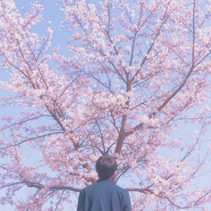 中国男人插继女阴部视频
